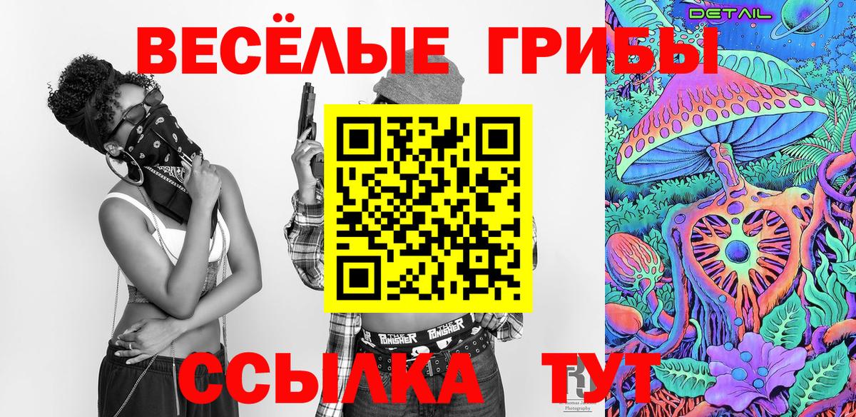 Галлюциногенные грибы Cubensis  Вход с VPN  Ставрополь 